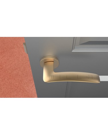 ROBINE door handle on round plate design hardware top view mounted on a door