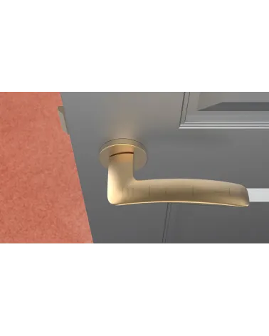 ROBINE door handle on round plate design hardware top view mounted on a door