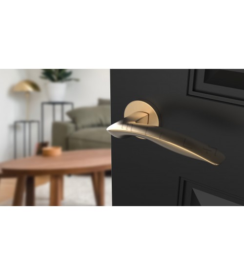ROBINE round plate door handle design hardware