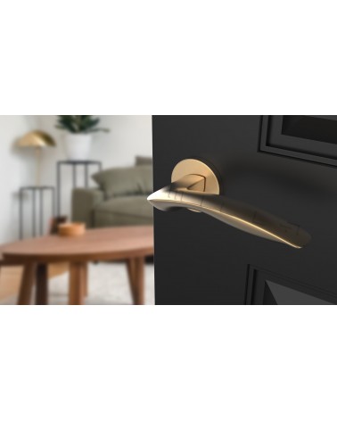 ROBINE door handle on round plate design hardware colour 1 top angled view mounted on a door