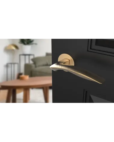ROBINE door handle on round plate design hardware colour 1 top angled view mounted on a door