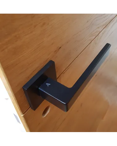 SULLA zamak door handle design handle mounted on a wood pattern door