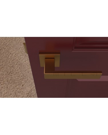 PINA zamak door handle design handle top view mounted on a door
