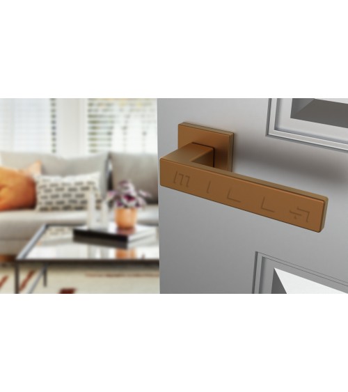 PINA zamak door handle design handle