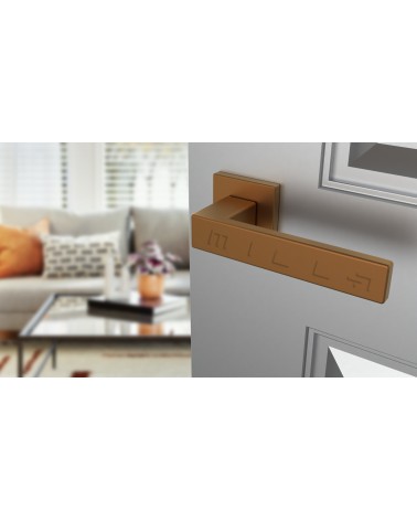 PINA zamak door handle design handle angled top view mounted on a door