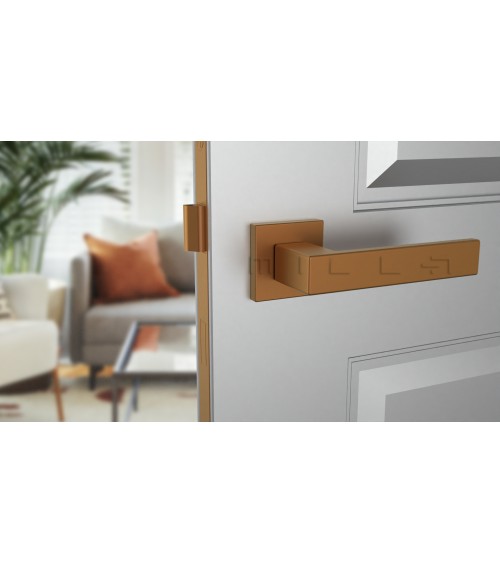 PINA zamak door handle design handle