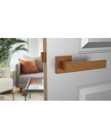 PINA zamak door handle design handle front view mounted on a door
