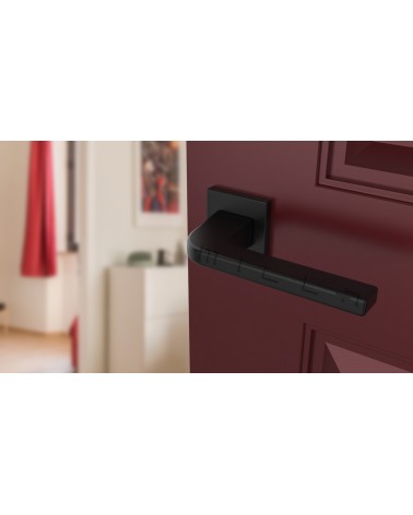 ISMENA square backplate door handle design handle angled top view mounted on a door