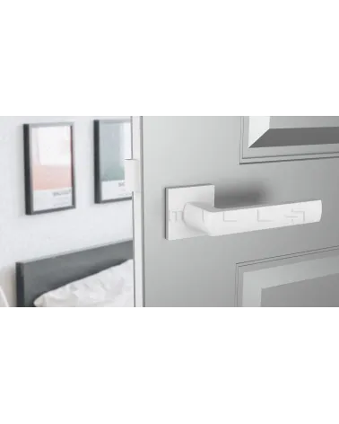 HOSTA zamak door handle design handle front view mounted on a door