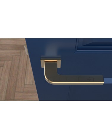 ISMENA rectangular plate door handle design handle top view mounted on a door