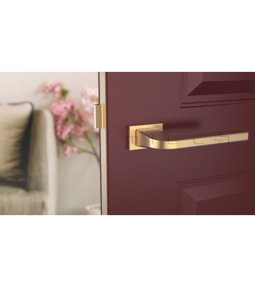 ISMENA rectangular backplate door handle design handle
