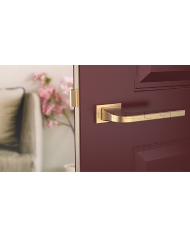 ISMENA rectangular plate door handle design handle front view mounted on a door
