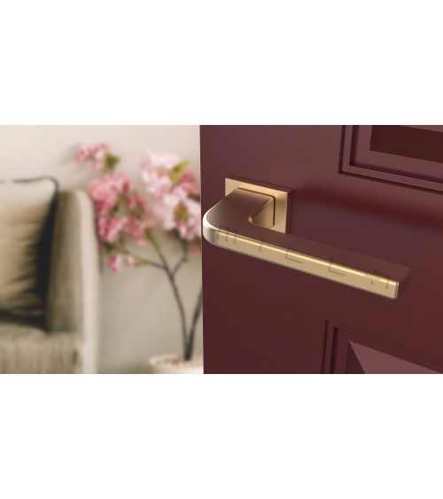 ISMENA rectangular backplate door handle design handle