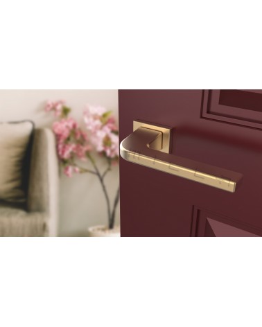 ISMENA rectangular plate door handle design handle angled top view mounted on a door