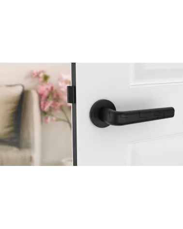 INULLA round plate door handle designer handle front view mounted on a door