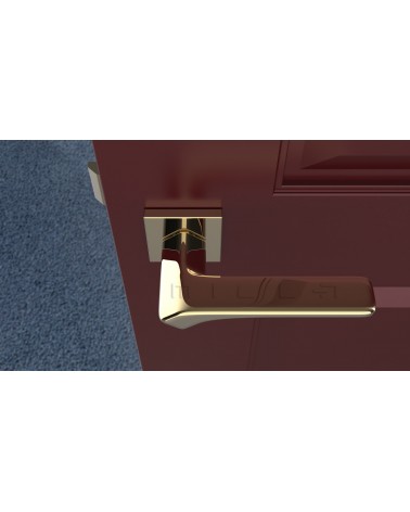 BERGERIA square plate door handle design handle top view mounted on a door