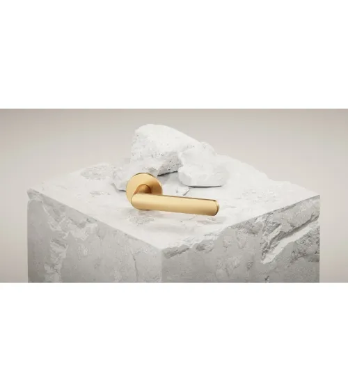 CO ICONE round door handle matt gold - design handle