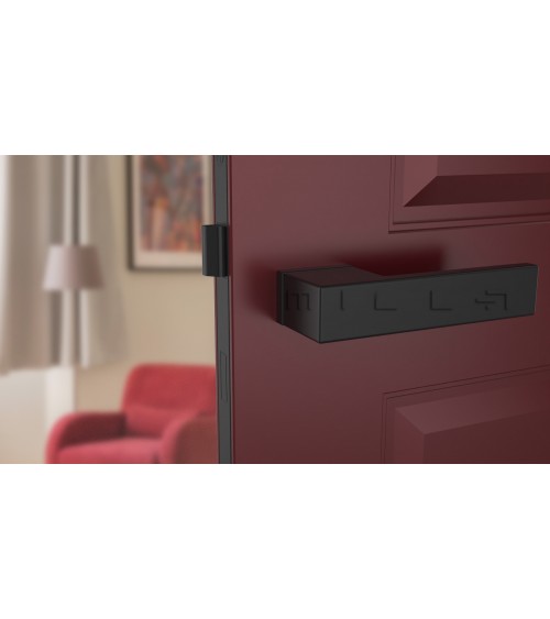Concealed plate door handle CARLINA design handle