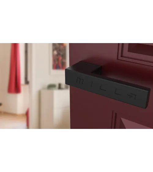 Concealed plate door handle CARLINA design handle