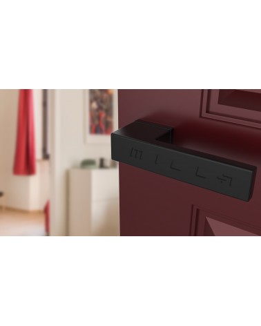 Concealed plate door handle CARLINA design handle fitted on a door