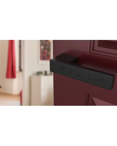 Concealed plate door handle CARLINA design handle fitted on a door
