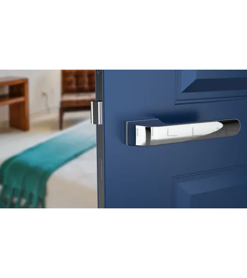 PLUMERIA concealed plate door handle design handle