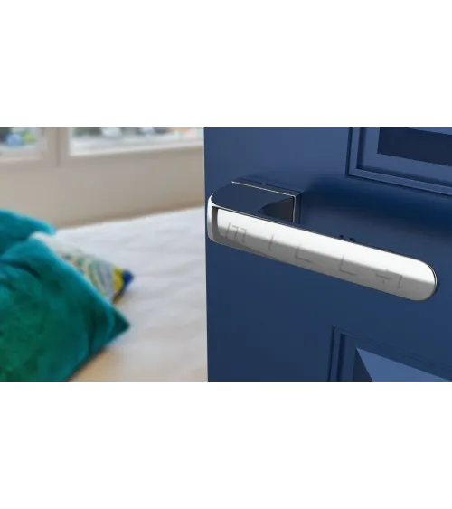 PLUMERIA concealed plate door handle design handle