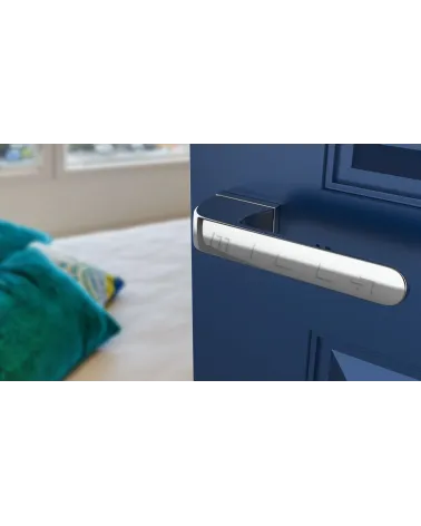 PLUMERIA concealed plate door handle design handle mounted on a door