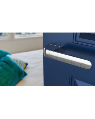 PLUMERIA concealed plate door handle design handle mounted on a door