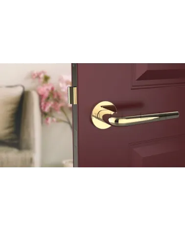 Round door handle FUNKIA designer handle colour 1 front view mounted on a door
