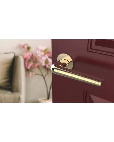 Round door handle FUNKIA designer handle colour 1 angled top view mounted on a door