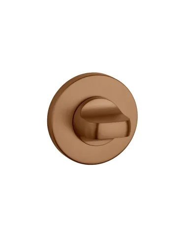 AP R 7S WC Escutcheon - designer handle