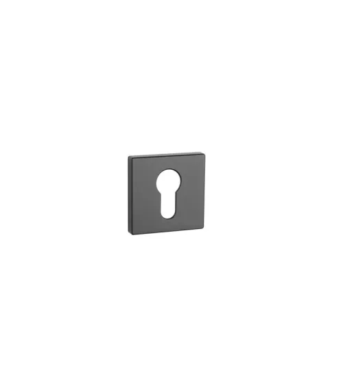 Door rose AP RT 7S PZ - designer ironmongery