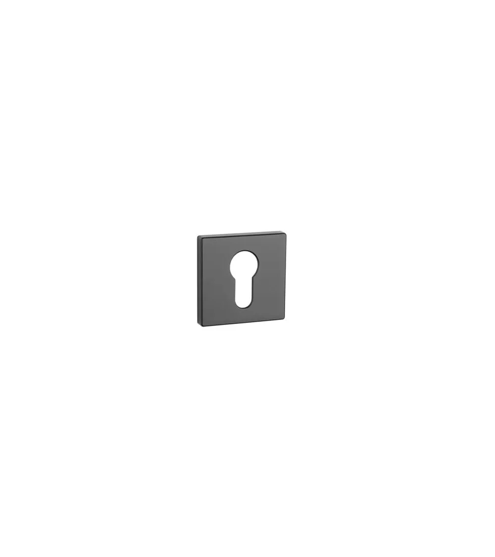 Door rose AP RT 7S PZ - designer ironmongery