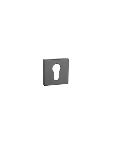 Door rose AP RT 7S PZ - designer ironmongery
