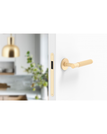 Satin gold Time Slim door handle design handle fitted on an ajar door