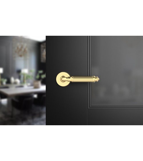 Polished gold ARIA Slim door handle design handle