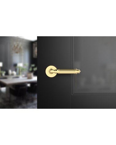 Polished gold ARIA Slim door handle design handle front view mounted on a door