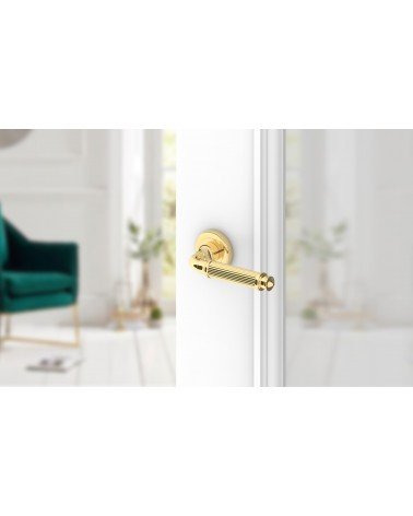 Polished gold ARIA Slim door handle design handle mounted on a half-open door