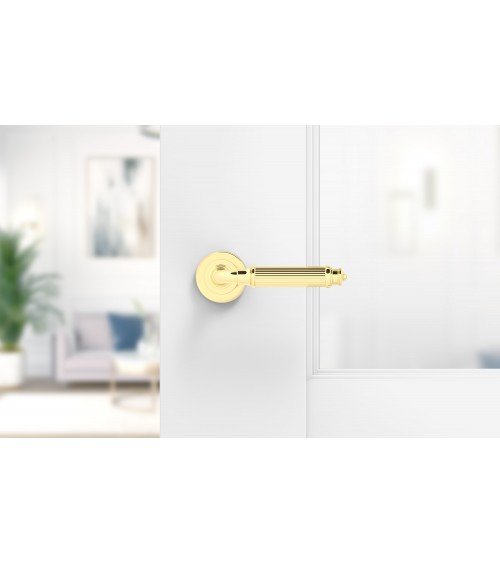 Polished gold ARIA Slim door handle design handle