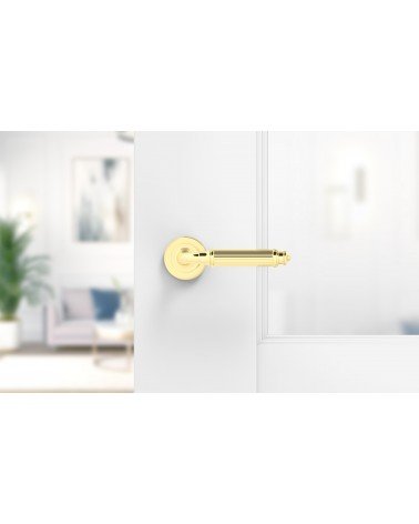 Polished gold ARIA Slim door handle design handle mounted on a door