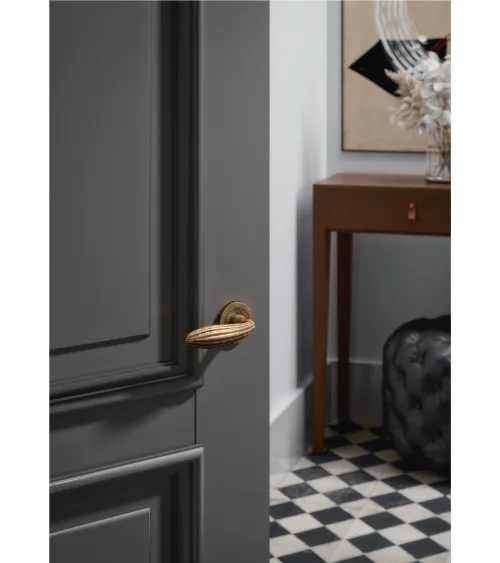 TUPAI 1917 polished chrome door handle design handle