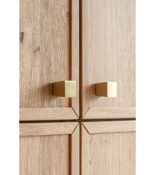 CIP600 furniture handle In brass - design handle