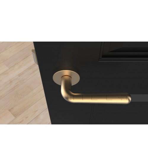 Satin Gold IRGA door handle design handle
