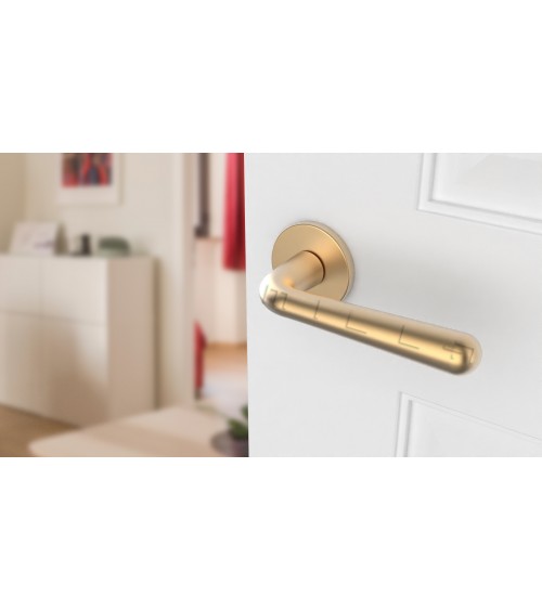 Satin Gold IRGA door handle design handle