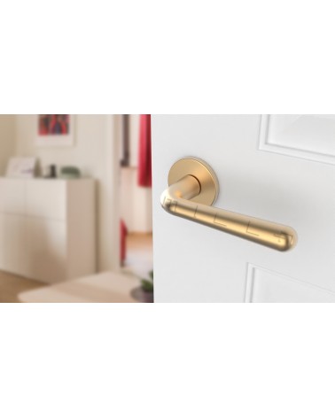 Satin Gold IRGA door handle design handle front view mounted on a door