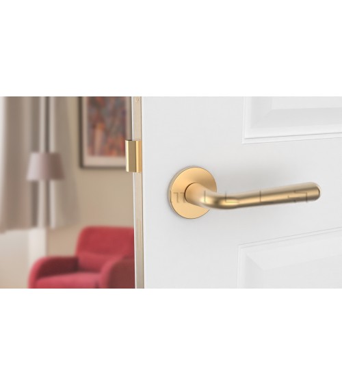 Satin Gold IRGA door handle design handle