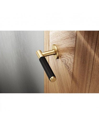 Slim two-tone door handles gold and black design handle mounted on a door