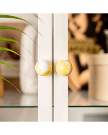 Yellow beech wood furniture knob design handle close-up front view mounted on a glass door