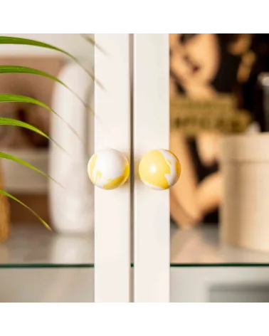 Yellow beech wood furniture knob design handle close-up front view mounted on a glass door